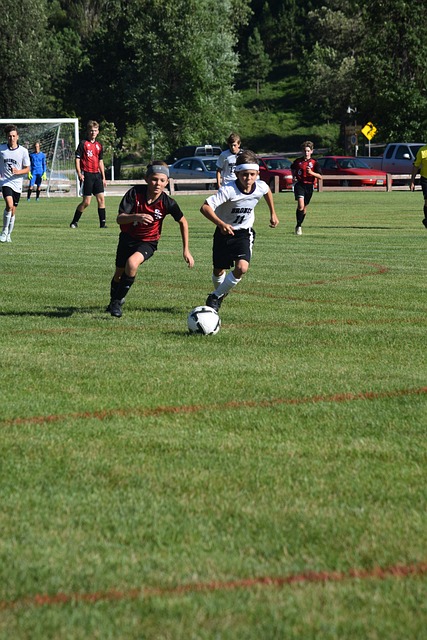 成功的关键 成功的关键