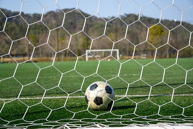 让球迷对他 让球迷对他