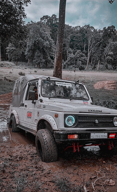 己汗水和努 己汗水和努