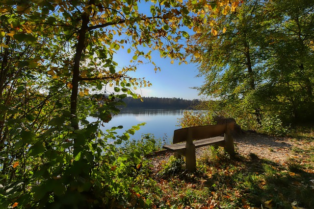 与未知数 与未知数