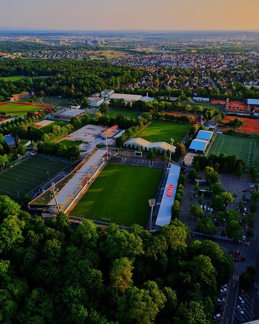 无疑将进一 无疑将进一